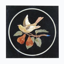 12" X 12" Schwarze Marmor