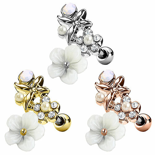 Helix tragus cartilage - tragus, knorpel