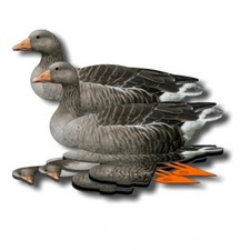 NRA FUD Lockgänse Graugans