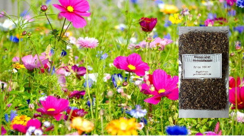Blumenwiese bienen und - bienen,