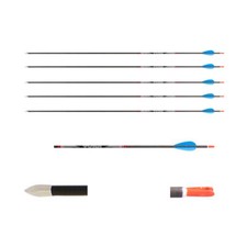 Carbonpfeil Avalon Tyro 6 Carbonpfeile Bogenschiessen Spine 1500 bis 600