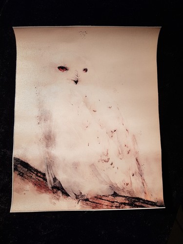 Hedwig druck auf leinwand - ,,