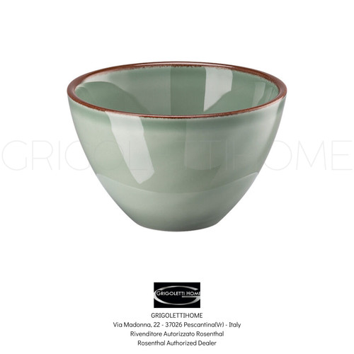Rosenthal profi casual moss - -,