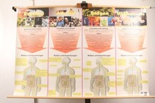 Schulwandkarte Suchtgefahren Risiken Auswirkungen G&W Medien Rollkarte Lehrtafel