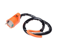 Zündspule mit Kabel für
