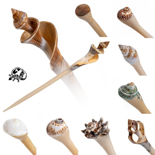 Hairsticks haarnadeln muschel - hairsticks,