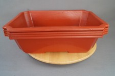 Bonsai Trainingsschale