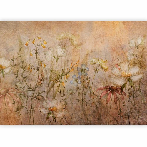 Blumen wiese garten natur - garten,