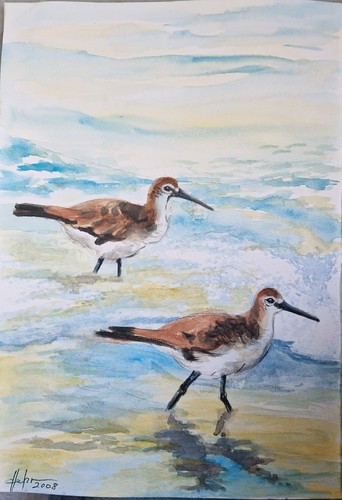 Aquarellbild gebraucht x - gebraucht, 29,7