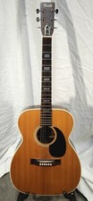 Terada Dreadnought Guitar