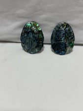 Zwei Ohrringe Paua Abalone