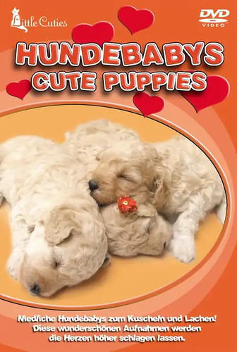 Little cuties hundebabys - little,