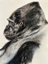 👉große Zeichnung "Gorilla"