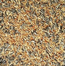 Gevo Streufutter ohne Weizen