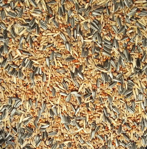 Gevo streufutter ohne - ohne, weizen