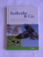 Kolkrabe verhalten und - &,
