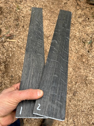 Ancient bog oak guitar - bog,