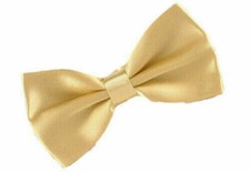 Fliege Einfarbig Hochzeit