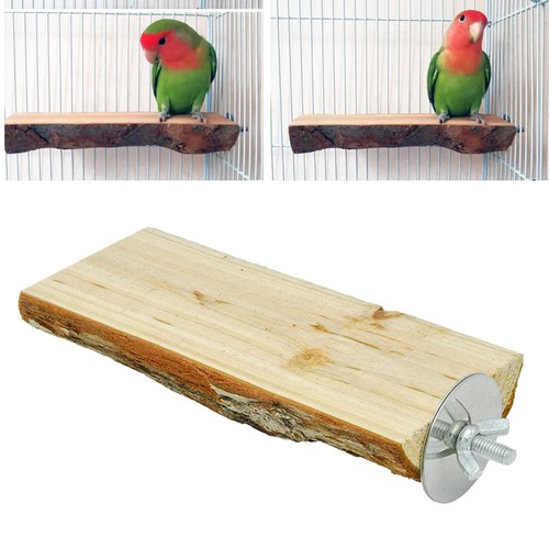 Papagei vogel käfig hängen - käfig,