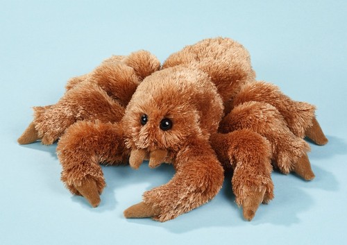 Plüsch spinne tarantel - spinne, ca