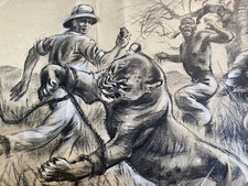 Originalzeichnung Wilhelm Eigener Afrika Löwin Tierfang signiert um 1953 Kohle