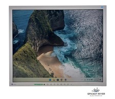 Eizo FlexScan S1921 19" Color