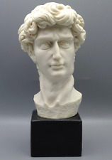 Kopf des David: Portrait- Büste/ Skulptur aus Kunstguss nach Michelangelo; Repro