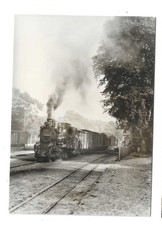 AK, PUTBUS - GÖHREN, EISENBAHN, BAHNHOF,