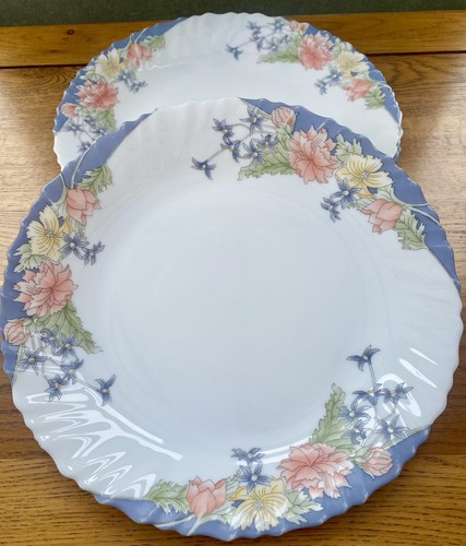 Arcopal france florine - france,