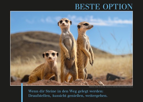 Beste option motivation - beste, poster
