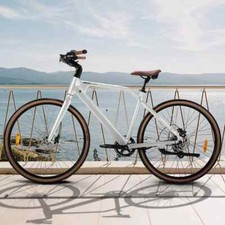 29 Zoll E-BIKE Elektrofahrrad