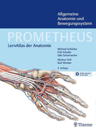 Prometheus allgemeine anatomie - prometheus,
