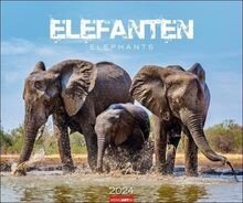 Elefanten Kalender 2024 von