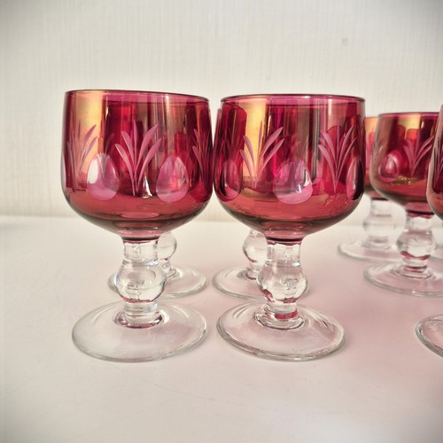 12er set luxus - luxus, kristall