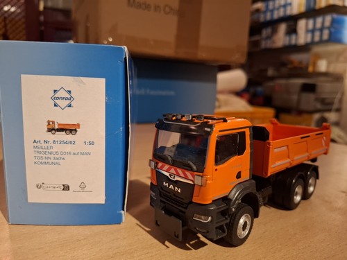Man trigenius d316 - man,