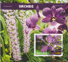 Blumen orchideen sierra leone - orchideen,
