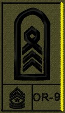 Bundeswehr rangabzeichen mit - bundeswehr,