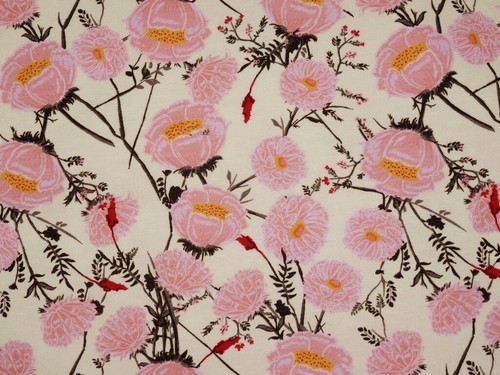 Wildrosen rose rosa creme - wildrosen,