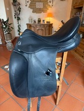 Stübben Virginia Dressur