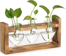 Glasseam Glas Propagation Station für Pflanzen: Vintage Vasen Deko mit Holz