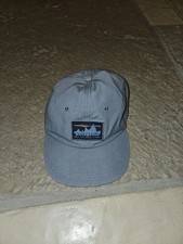 Patagonia Cap Blau
