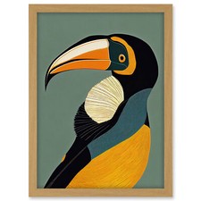 Kielschnabel Tukan Vogel