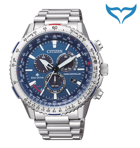 Citizen promaster land - promaster,