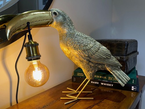 Tukan exotischer vogel - vogel,