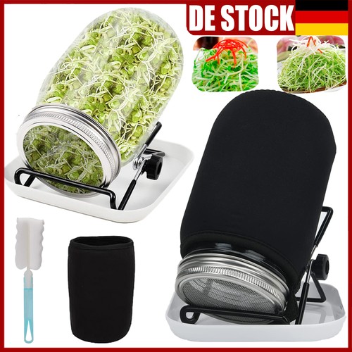 Sprossenglas keimglas 2er - sprossenglas,
