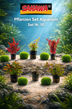 Aquarium Pflanzen Set: 6x rote