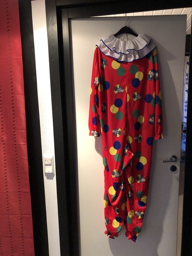 Karnevals clown kostüm - karnevals,