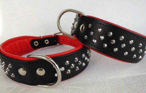 Hundehalsband nieten - , hundehalsband,
