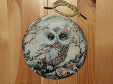 Winter Schnee Eule Fensterbild