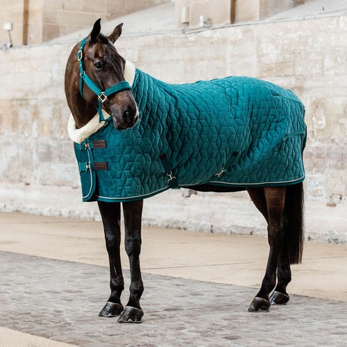Kentucky horsewear - kentucky,